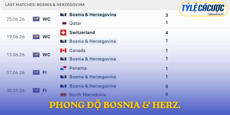 Phong độ Bosnia & Herzegovina