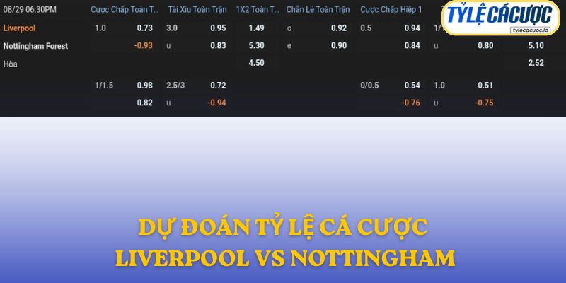 Soi kèo nhà cái Liverpool vs Nottingham – dự đoán từ chuyên gia