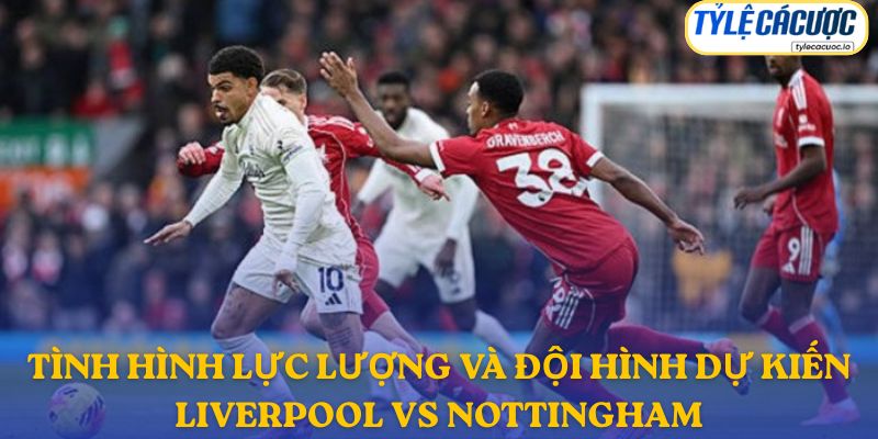 Thông tin đội hình dự kiến Liverpool vs Nottingham