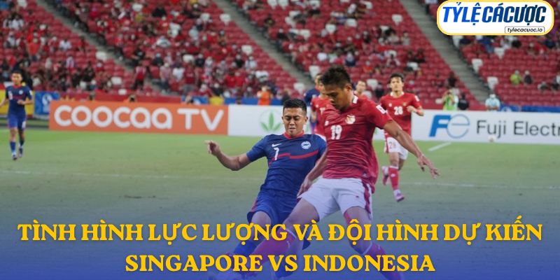 Thông tin đội hình dự kiến Singapore vs Indonesia